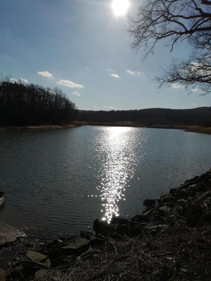 Privatunterkunft U Lesicka Vysoka (Bruntal)